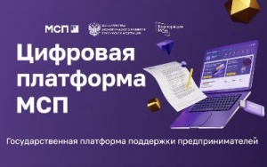 Сервисы для бизнеса и меры господдержки на МСП. РФ