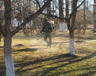 Территорию города обработали от клещей 