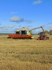  Аграрии Кудымкарского муниципального округа завершили уборочную кампанию