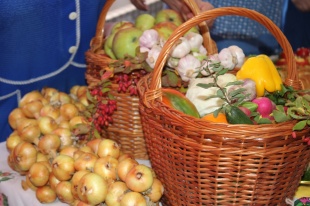 Учет личных подсобных хозяйств с 1 января 2024 года 