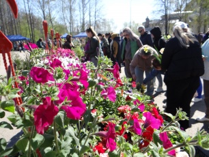 Весенняя сельскохозяйственная ярмарка в Кудымкаре собрала более 80 участников из 11 территорий   