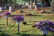 Чистота-дело рук каждого 