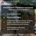 ПОЖАРООПАСНЫЙ СЕЗОН