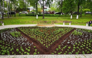 В Кудымкаре завершилось оформление цветников и клумб