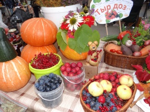 В Кудымкаре прошел праздник-ярмарка «Тырдоз» 