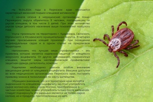 В Пермском крае начался весенний подъем клещевой активности.