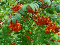 В Кудымкарском округе состоялся очередной выездной прием граждан