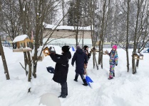 Добрая традиция: в Кудымкарском округе помогают зимующим птицам
