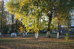 26 сентября состоялся очередной прямой эфир 