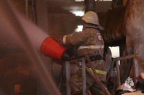 Информация о произошедших пожарах и проведенной профилактической работе за сутки на 17 января 