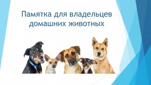 Памятка для владельцев домашних животных 