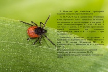 Обращаем внимание, что вся территория края является эндемичной по клещевому вирусному энцефалиту, не стоит употреблять сырое молоко коз, овец, коров.