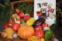 C 21 по 27 ноября проходит Всероссийская неделя популяризации подсчёта калорий, которая призвана обратить внимание граждан на глобальную проблему ожирения