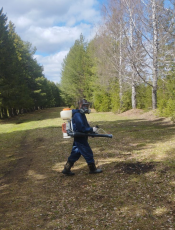 На общественных территориях Кудымкарского округа проводится акарицидная обработка   