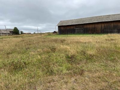 О проекте инициативного бюджетирования: «Устройство общедоступной                                   уличной спортивно- игровой площадки по ул. Колхозная в д. Алекова»