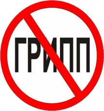 Памятка по профилактике гриппа