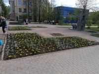 В Кудымкаре Комбинат благоустройства приступил к посадке цветов на городские клумбы