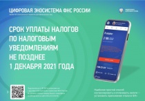 Жителям Пермского края необходимо не позднее 1 декабря уплатить имущественные налоги за 2020 год