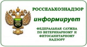 Управление Россельхознадзора по Кировской области, Удмуртской Республике и Пермскому краю сообщает, что эпизоотическая ситуация по африканской чуме свиней и гриппу птиц в Российской Федерации продолжает оставаться напряженной