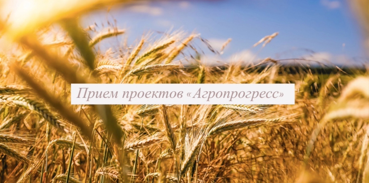 Министерство агропромышленного комплекса Пермского проводит прием проектов на грант «Агропрогресс»
