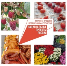 В Кудымкаре прошла зимняя сельскохозяйственная ярмарка