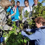 Приглашаем вас принять участие в акции «Сад памяти» 