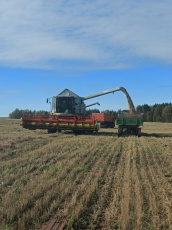 О проведении муниципального конкурса «Лучший по профессии – 2025» среди сельскохозяйственных предприятий, крестьянских (фермерских) хозяйств и индивидуальных предпринимателей Кудымкарского муниципального округа Пермского края