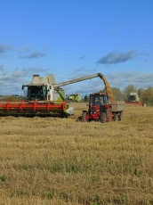 Вести с полей