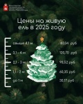 Кудымкарское лесничество  рассказывает о вариантах заготовки елей или деревьев других хвойных пород для новогодних праздников для жителей Кудымкарского муниципального округа