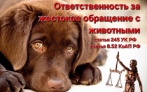 Ответственность за жестокое обращение с животными