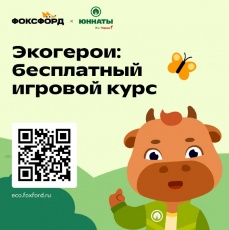 Онлайн-школа «Фоксфорд» совместно с экспертами сообщества «Юннаты Первых» подготовили бесплатный игровой курс об экологии