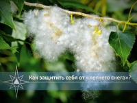 МЧС информирует