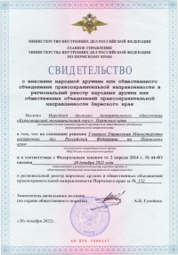 Добровольная народная дружина