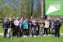 Жители города продолжают принимать участие в Международной акции «Сад Памяти»