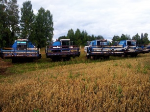 15 мая сельскохозяйственный производственный кооператив «Колхоз им. Кирова» отмечет 90-летний юбилей