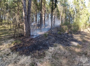 Информация о пожарах за последние сутки