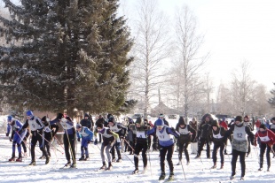 Лыжная гонка «Лыжня России» в Пермском крае пройдет в онлайн-формате