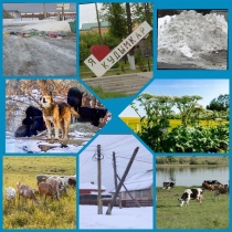 Итоги работы по муниципальному контролю за 2024 год