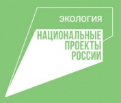 В Кудымкаре 12 контейнерных площадок оснащены новыми баками для сбора твердых коммунальных отходов