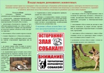 Содержание домашних животных на территории Кудымкарского муниципального округа Пермского края 