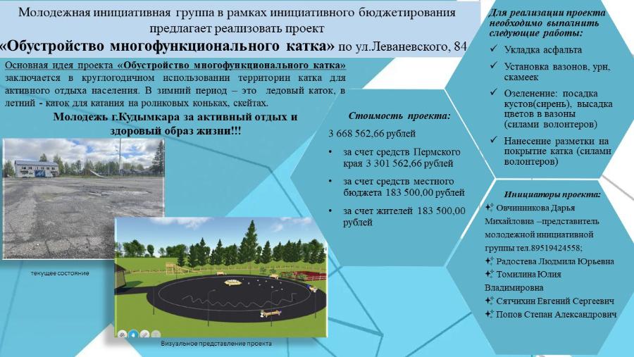 Проект молодежной инициативной группы "Обустройство многофункционального катка"