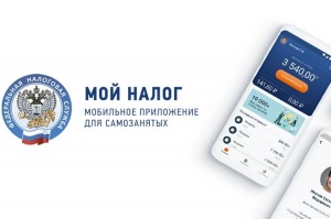 Работаем в приложении «Мой налог» легко и правильно