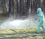 Территорию города обработали от клещей