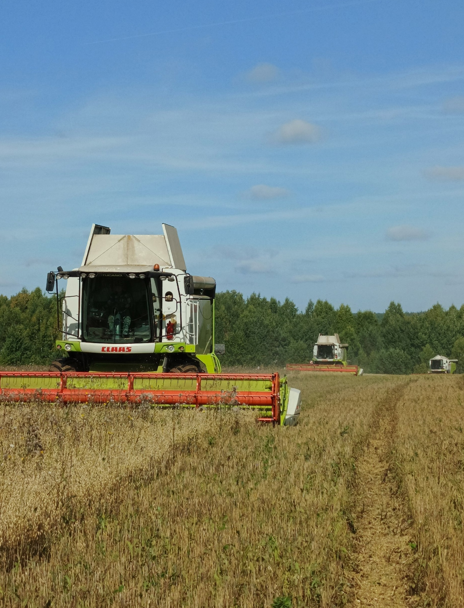  Вести с полей