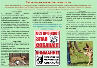 Содержание домашних животных на территории Кудымкарского муниципального округа Пермского края 