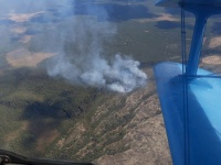В Прикамье на период с 09 до 13 августа включительно вводится ограничение пребывания граждан в лесах 