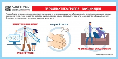 Профилактика гриппа и ОРВИ