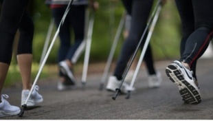 На территории Пермского края пройдет онлайн фестиваль северной ходьбы «Пермская прогулка»