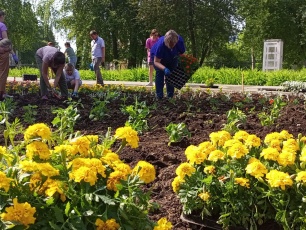В Кудымкаре подходит к завершению посадка цветов 