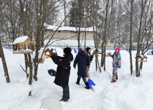 Добрая традиция: в Кудымкарском округе помогают зимующим птицам